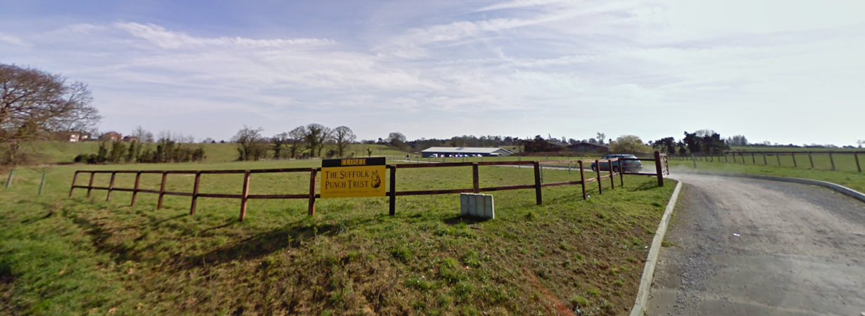 Suffolk Punch Heavy Horse Museum