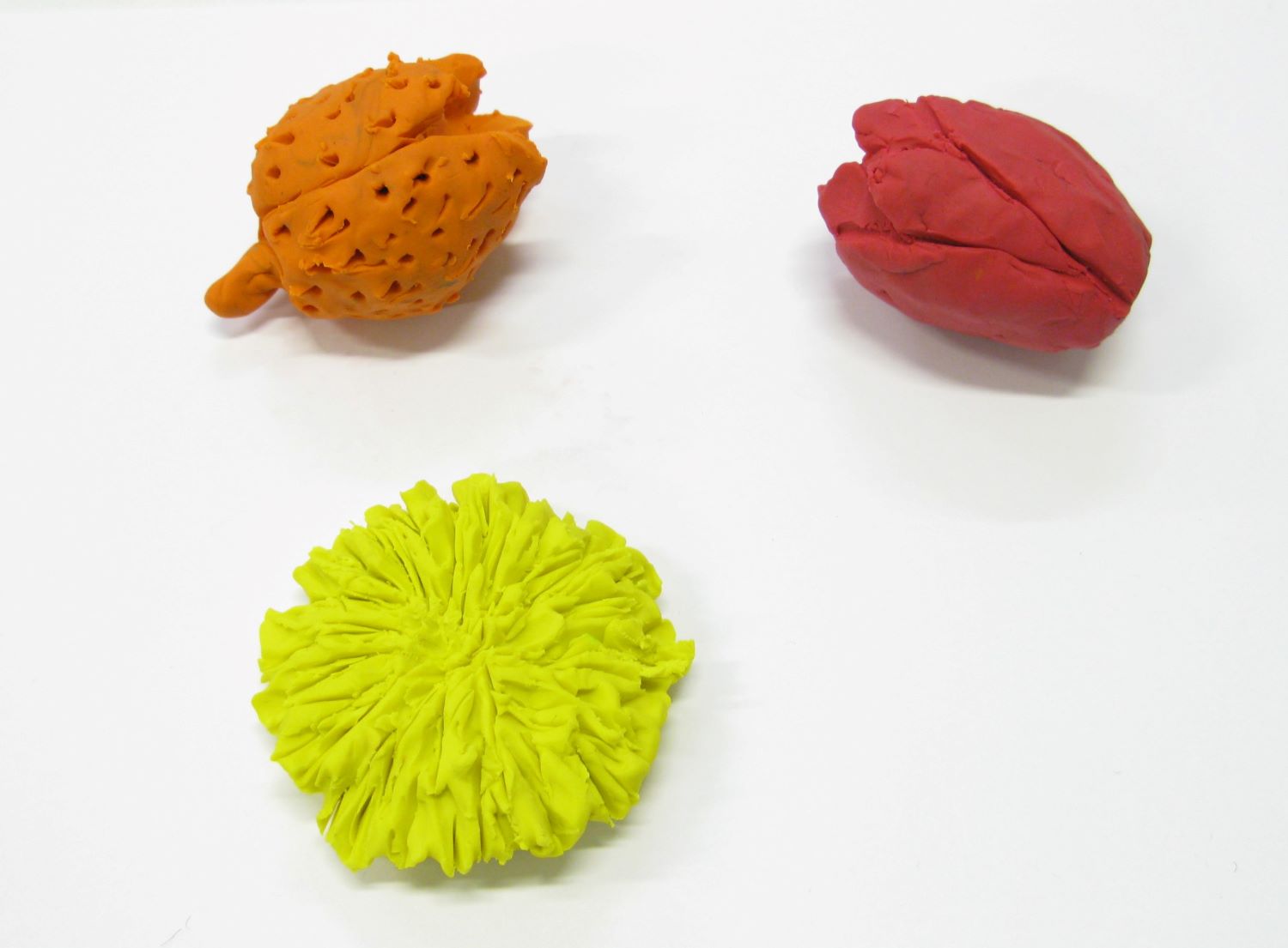 Flower head and seed sculptures made from plasticine