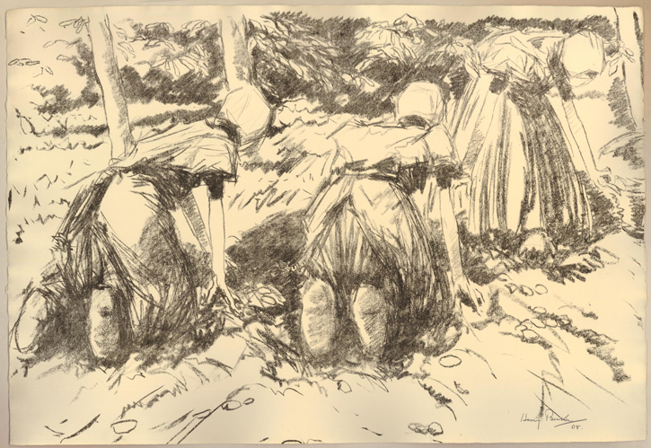 Three Women Harvesting in a Field