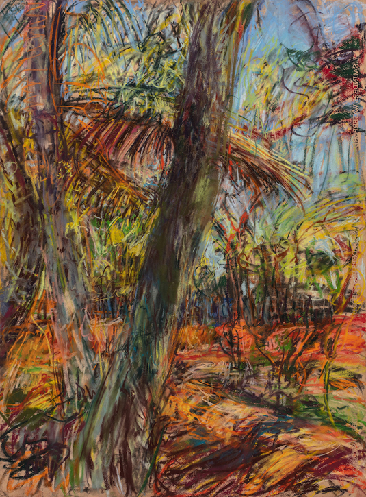 Primordial Landscape