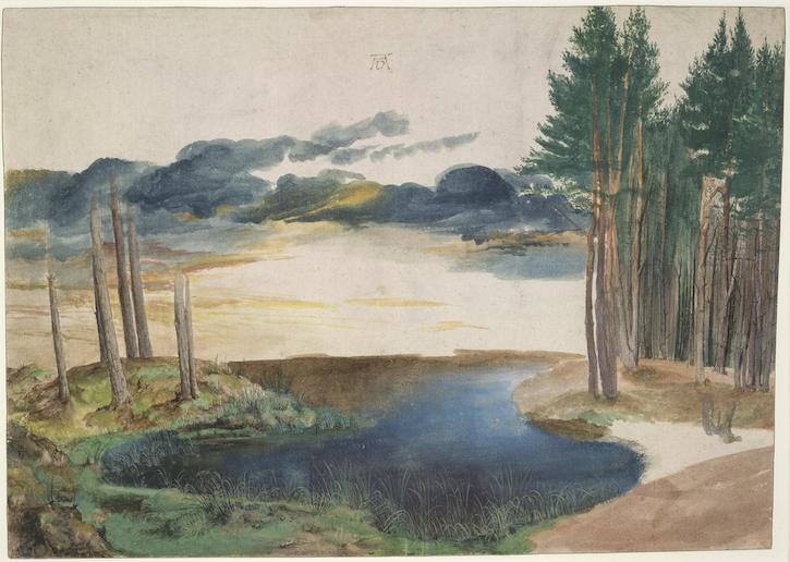Landscape study of water, sky and pine trees
