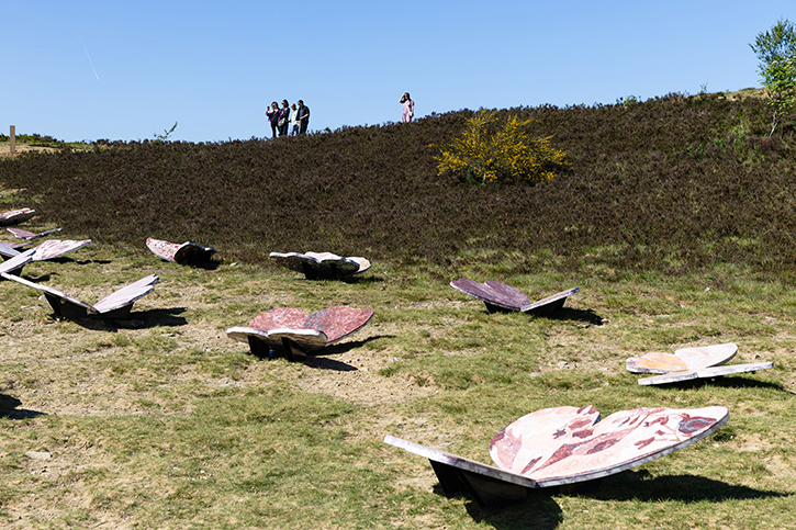 Wild Uplands – 99 Butterflies
