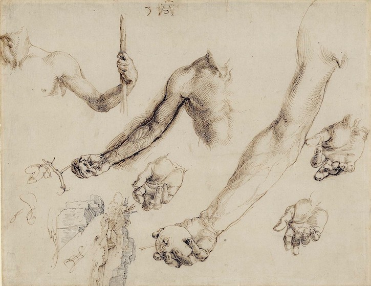 Sheet of studies for the hand and arm of Adam and for rocks and bushes