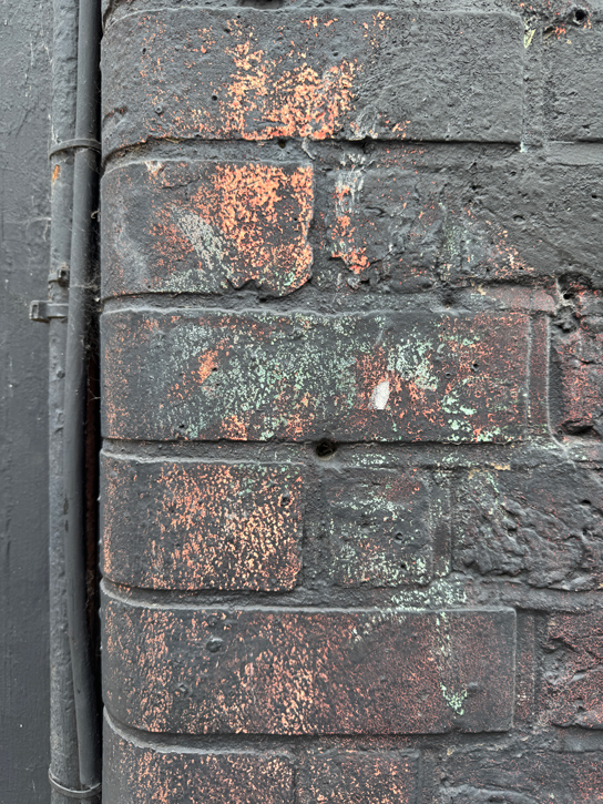 Hints of Bruce's Mural in Walter's Yard in 2025