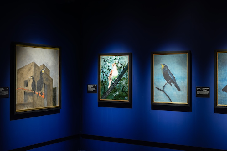 Installation view, 'Dawn to Dusk: Birds by Jim Moir', Lady Lever Art Gallery, 2025
