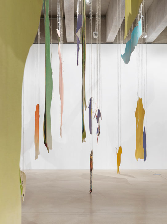 Installation view of 'Petrit Halilaj: Very volcanic over this green feather'