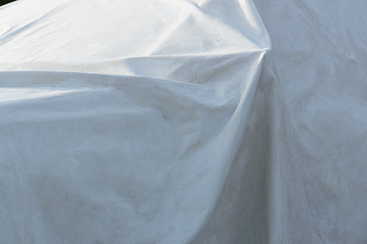 Catalyst (detail)
