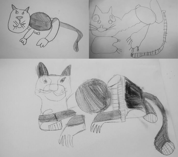 A selection of drawings of 'Cat' by pupils at the three Harlow primary schools