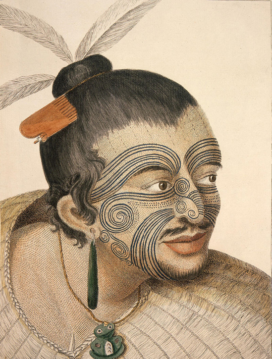 Sketch of a Māori man (after Sydney Parkinson)