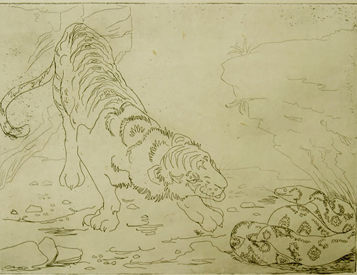 Tiger and Python