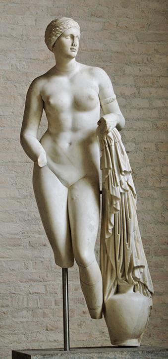 'Aphrodite Braschi' 