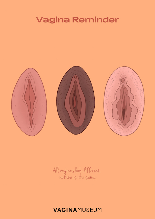 illustration by Charlotte Willcox commissioned by the Vagina Museum