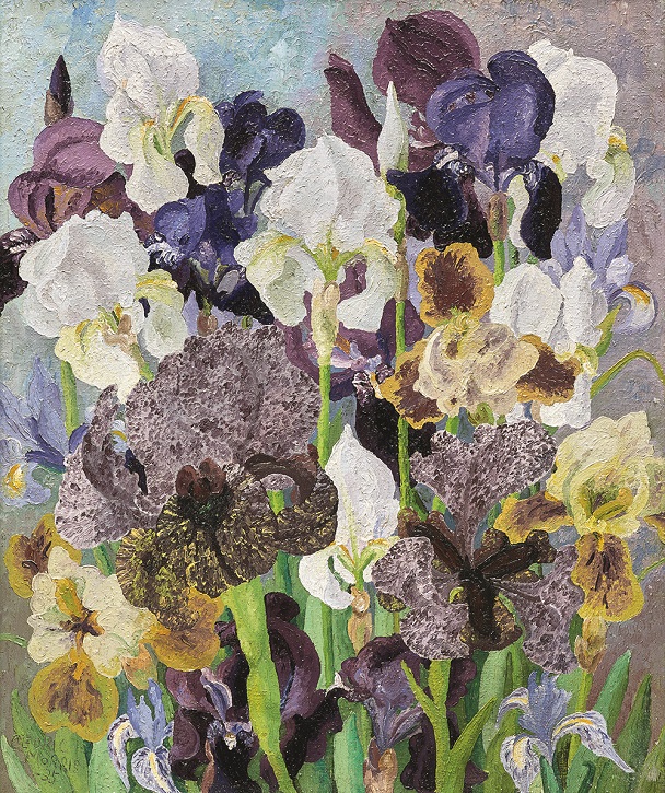 May Flowering Irises No.2