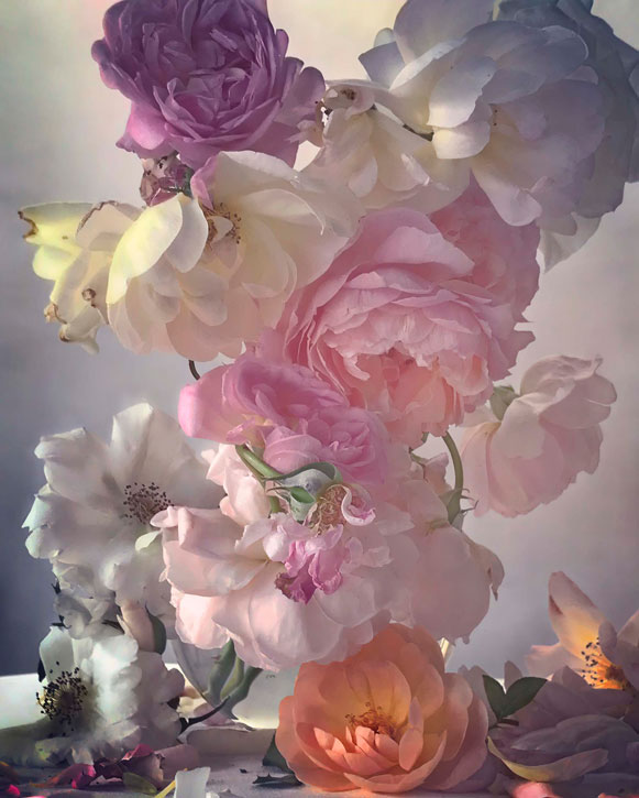 Say it with roses: floral symbolism from Aphrodite to Nick Knight