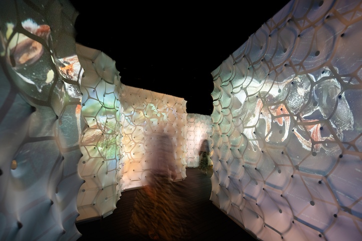 Installation view, 'Bees: A Story of Survival', World Museum Liverpool, 2025