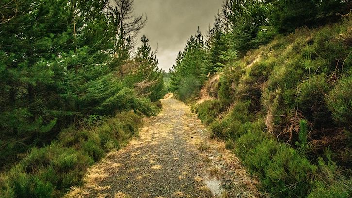 The path at Borgie Glen leading to 'The Unknown'