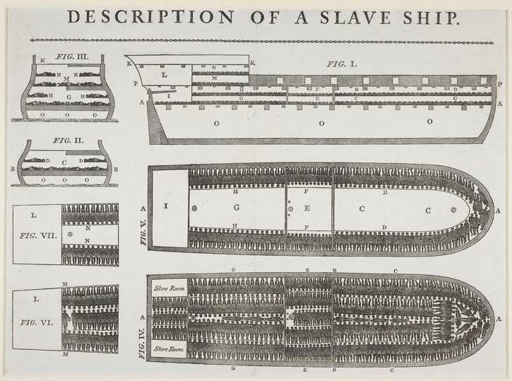 Plan and cross-section of the slave ship 'Brookes' of Liverpool
