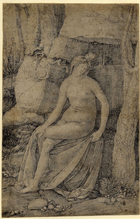 Cleopatra, a female nude seated in the wilderness