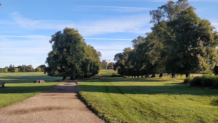 Commute to work through Wollaton Park