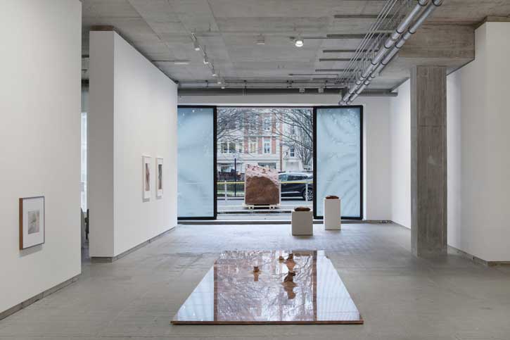 Installation view of 'Dorothy Cross: Damascus Rose' at Frith Street Gallery, London