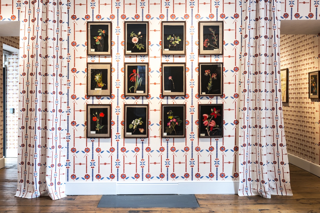 Installation view, 'The botanical world of Mary Delany and Georgie Hopton'