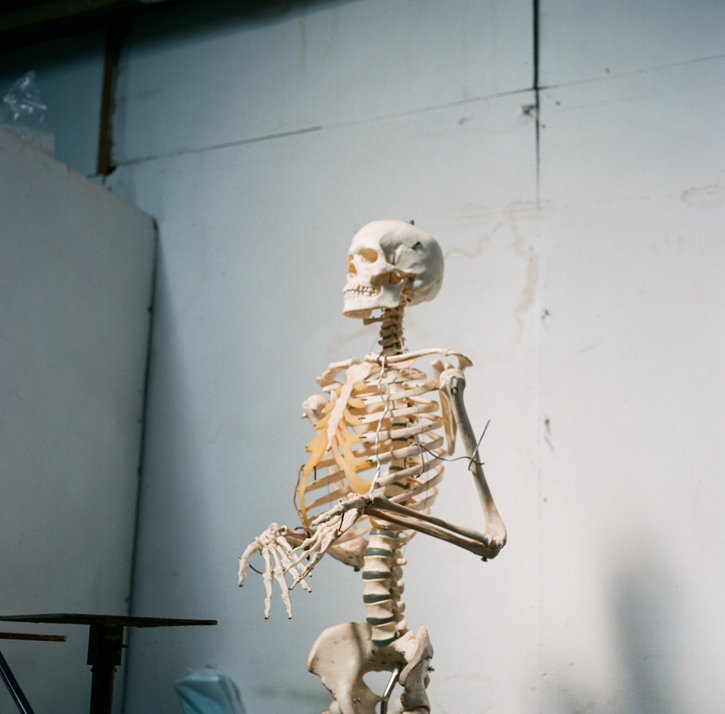 The model of a skeleton in Denise Dutton's studio