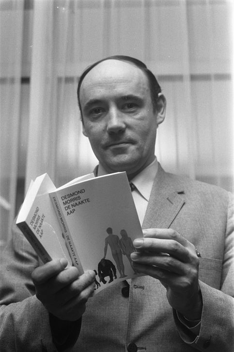 Desmond Morris with his book 'The Nude Ape' in Amsterdam