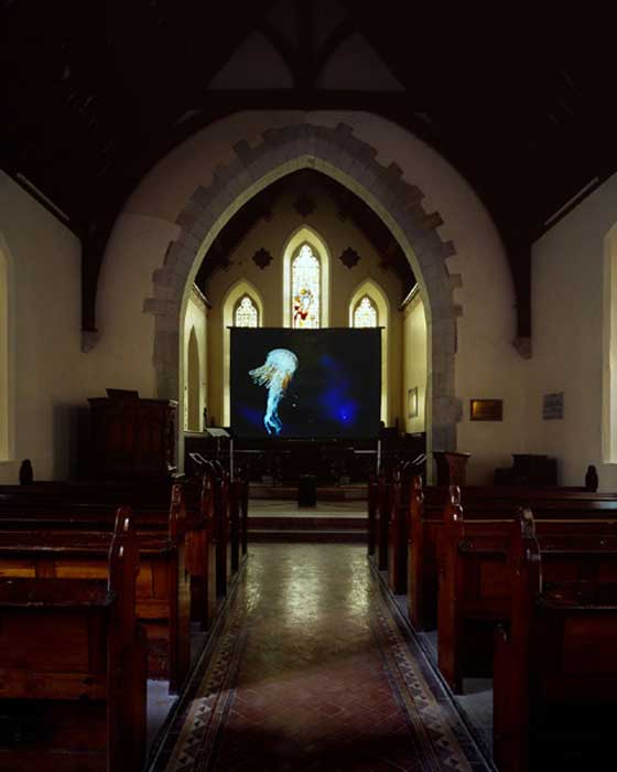 2003, film installation by Dorothy Cross (b.1956)