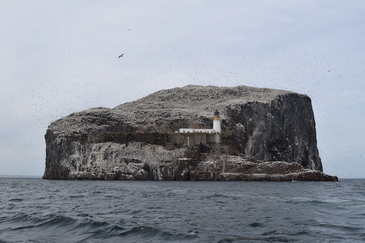 Bass Rock