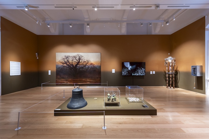 Installation view, 'Forest', Nottingham Castle Museum & Art Gallery, 2025