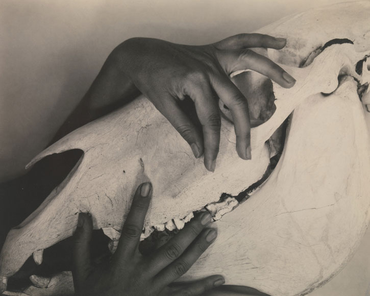 1931, gelatin silver print by Alfred Stieglitz (1864–1946)