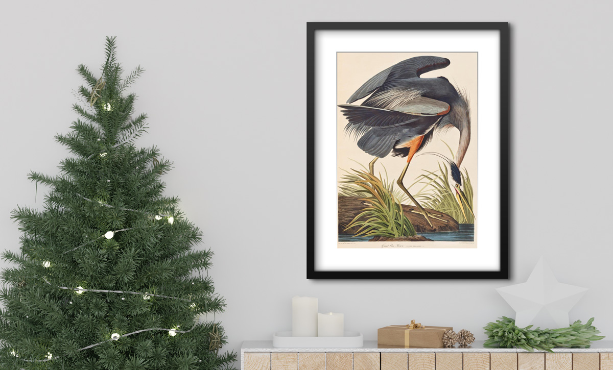 'Great Blue Heron' print