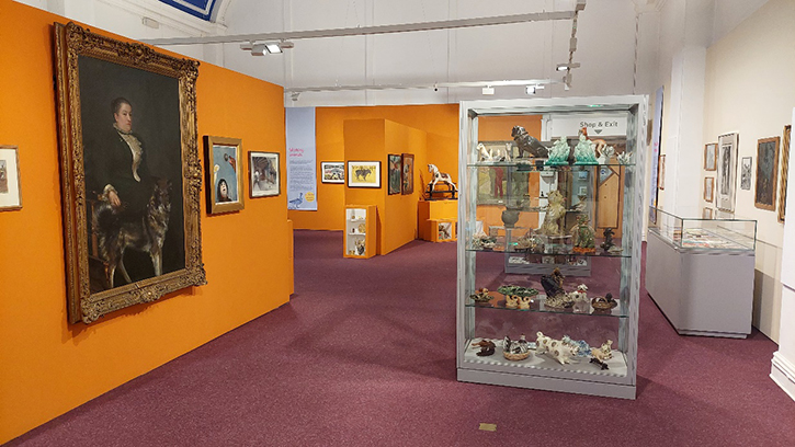 'Exploring the Collection: Animals' gallery