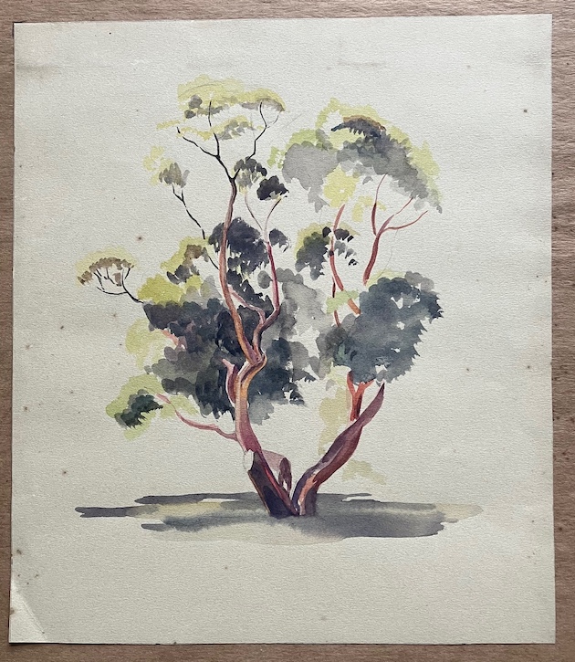 Tree study in Jean Peace's sketchbook