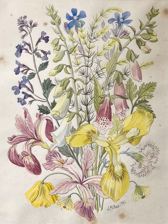 A floral study with Irises and Foxglove by Jean Peace, 1951