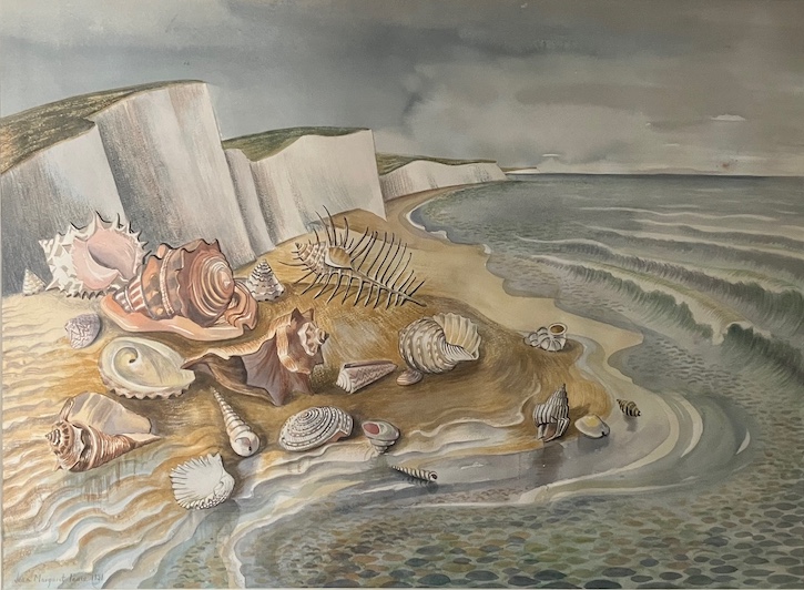 Shells