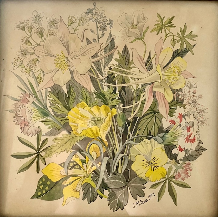 A floral study by Jean Peace, 1951