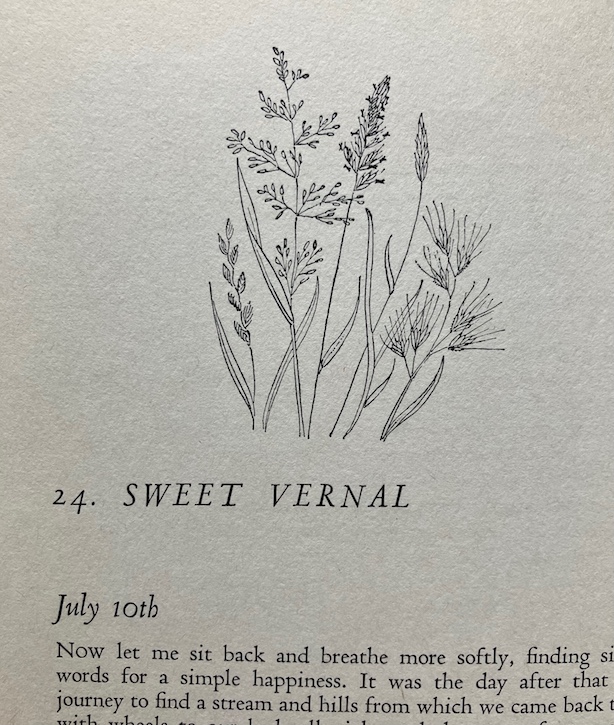 Grass illustration by David Peace