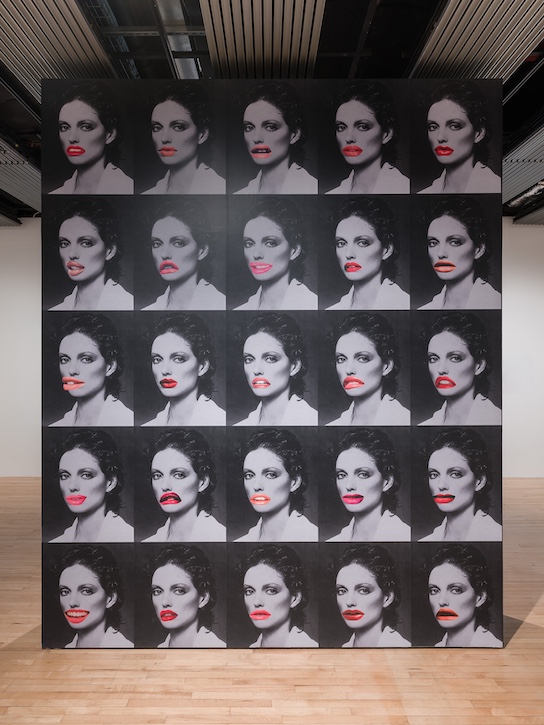 Installation view, 'Linder: Danger Came Smiling', Hayward Gallery, London, 2025