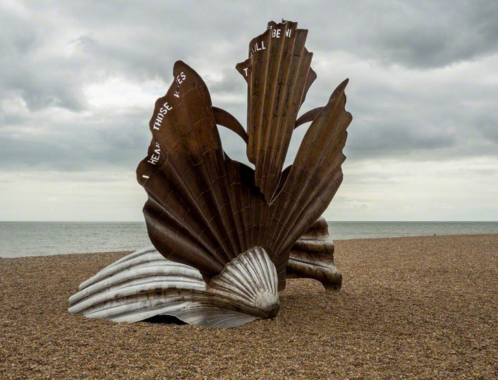 Scallop shell on the sands., Scallop is a common name that …