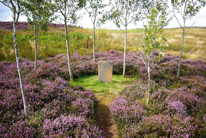 The 'Grove above Lochan Eck' at Little Sparta