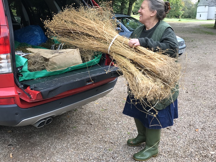 Rosie, one of the volunteer growers on the project