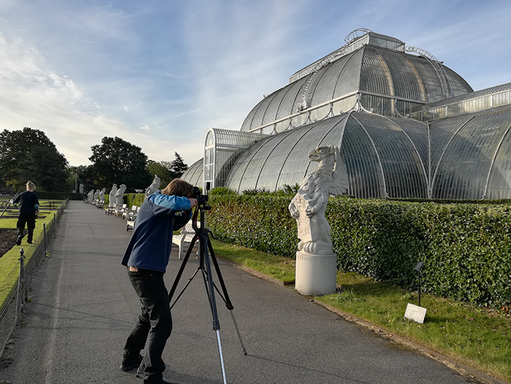 Photography Manager Colin White photographing the Queen's Beasts at Kew Gardens, 28th September 2020