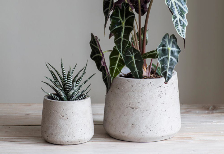 Tapered cement planters