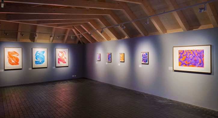 Installation view of 'Tunji Adeniyi-Jones: Astral Reflections', Charleston