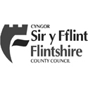 Flintshire Record Office