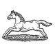 Prince of Wales’s Own Regiment of Yorkshire