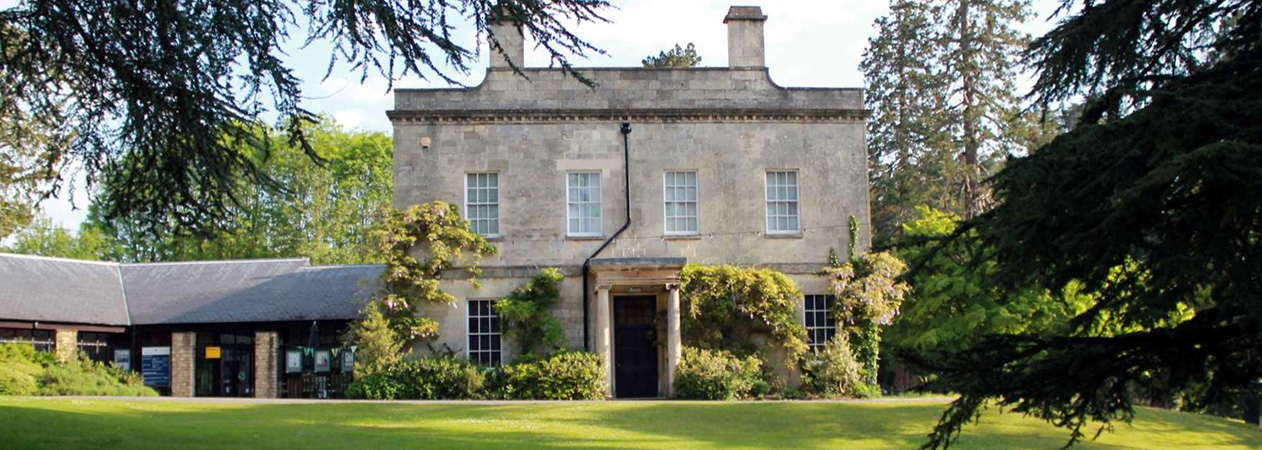 The Museum in the Park