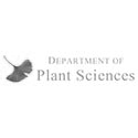 Department of Plant Sciences, University of Cambridge