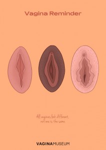 illustration by Charlotte Willcox commissioned by the Vagina Museum